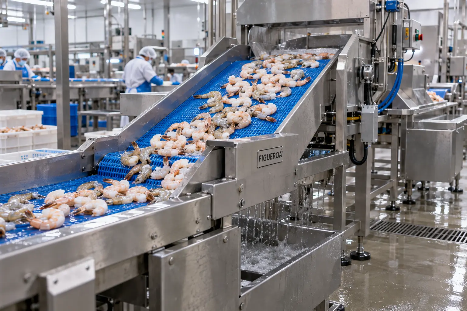 Industrial fabrication and sanitary conveyor applications by FIGUEROA Industrial Corporation